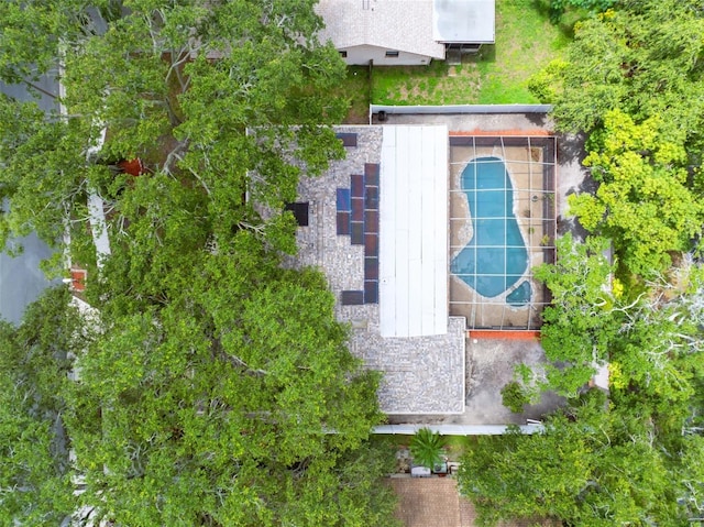 15 Seedling Dr, Safety Harbor, FL 34695 - photo 37