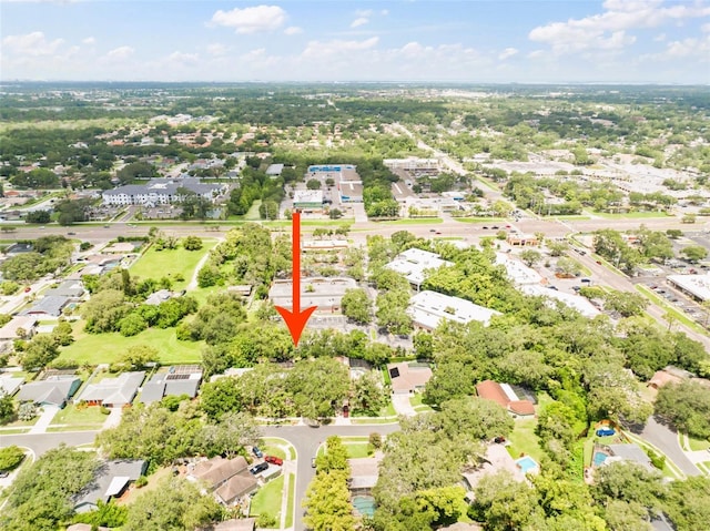 15 Seedling Dr, Safety Harbor, FL 34695 - photo 40