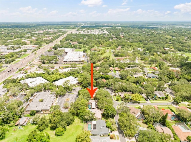 15 Seedling Dr, Safety Harbor, FL 34695 - photo 41