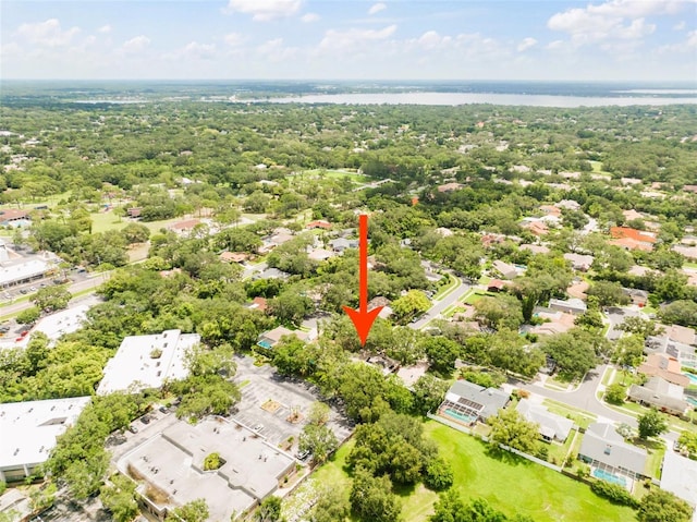 15 Seedling Dr, Safety Harbor, FL 34695 - photo 42