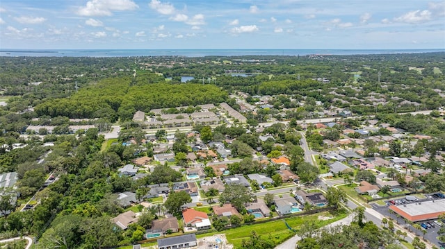 3437 Dove Hollow Ct, Palm Harbor, FL 34683 - photo 34