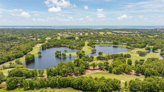3437 Dove Hollow Ct, Palm Harbor, FL 34683 - photo 37