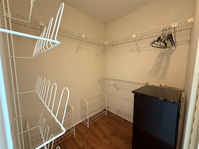 2722 Sherbrooke Ln Unit D, Palm Harbor, FL 34684 - walk in closet with wood finished floors