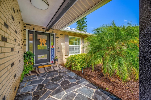 48 Hillside Ct, Palm Harbor, FL 34683 - photo 4