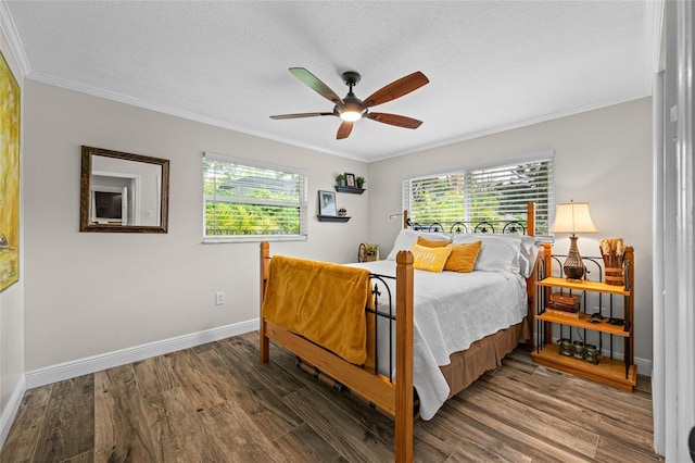 48 Hillside Ct, Palm Harbor, FL 34683 - photo 37