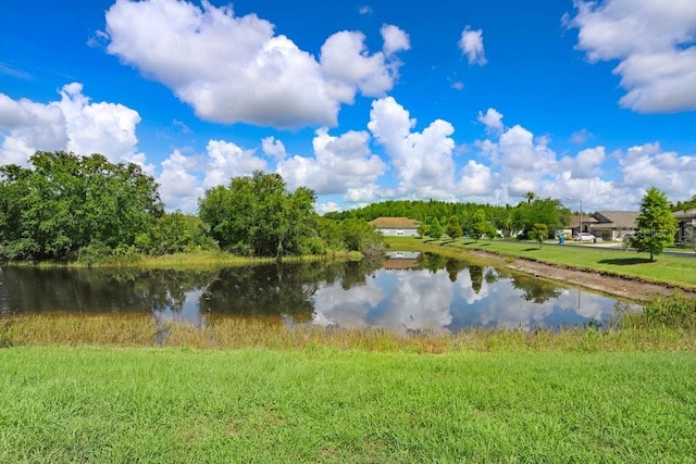 2027 Rensselaer Dr, Wesley Chapel, FL 33543 - photo 33
