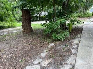 1321 River St, Palatka, FL 32177 - photo 5