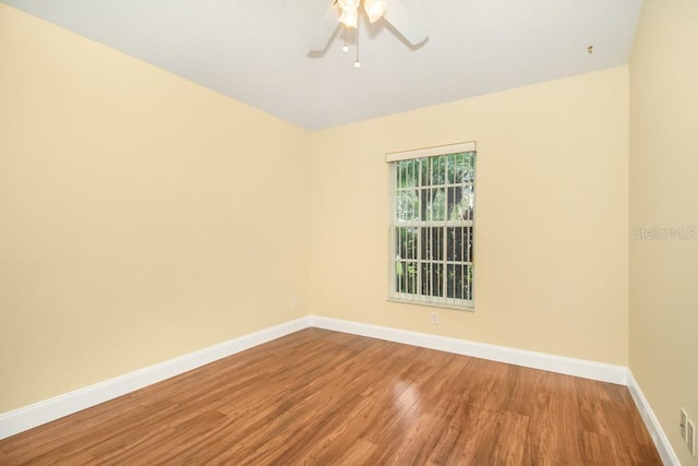 10136 Kingsbridge Ave, Tampa, FL 33626 - photo 18