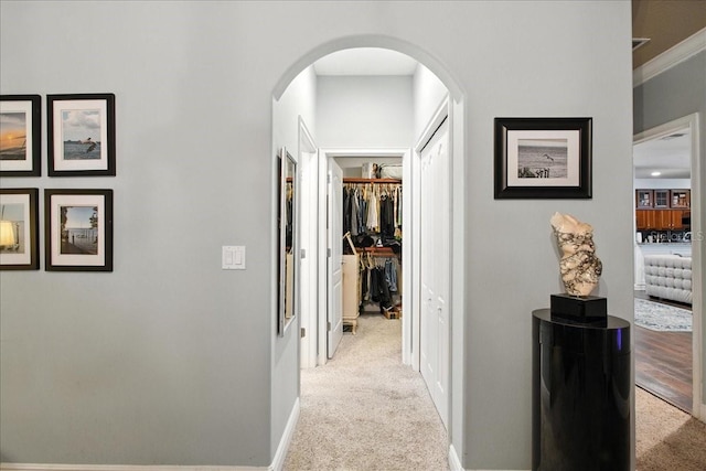 7310 S Shamrock Rd, Tampa, FL 33616 - corridor with carpet, arched walkways, and crown molding