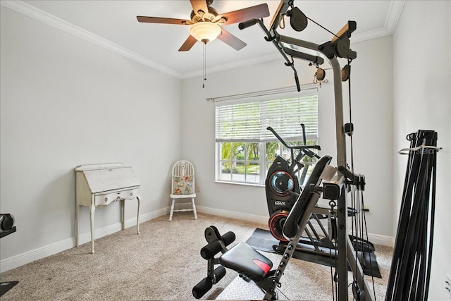 7310 S Shamrock Rd, Tampa, FL 33616 - workout room with crown molding, carpet flooring, and a ceiling fan