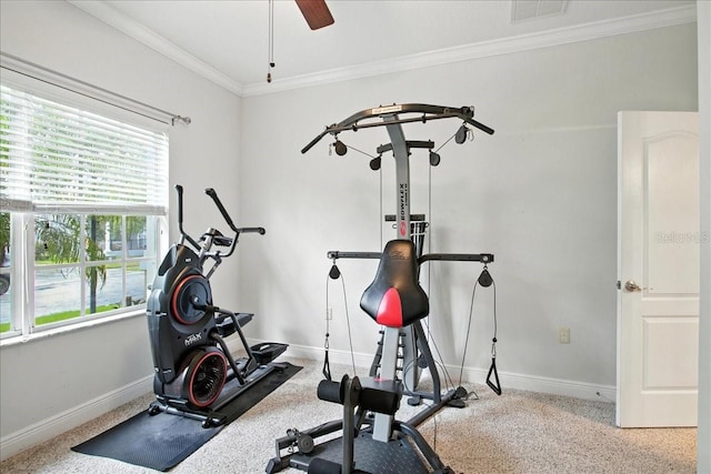 7310 S Shamrock Rd, Tampa, FL 33616 - workout room featuring plenty of natural light, crown molding, and a ceiling fan