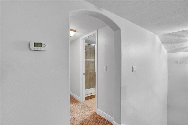 7310 S Shamrock Rd, Tampa, FL 33616 - hallway with arched walkways, carpet, and a textured ceiling