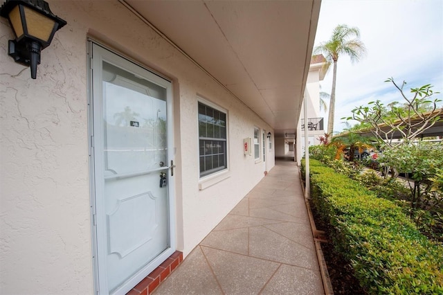 845 Maple Ct Unit 103, Dunedin, FL 34698 - entrance to property featuring stucco siding