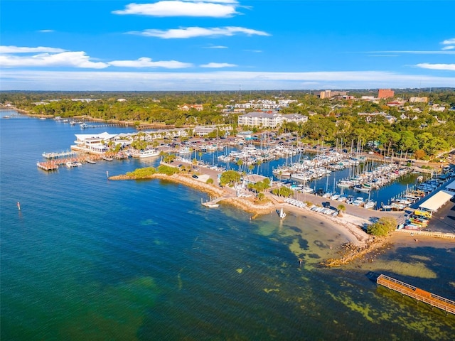 845 Maple Ct Unit 103, Dunedin, FL 34698 - drone / aerial view of a marina and a nearby body of water