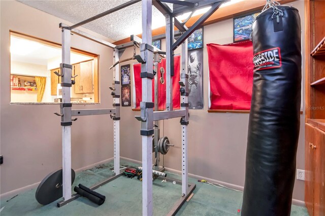 3129 W Paris St, Tampa, FL 33614 - exercise area featuring baseboards and a textured ceiling