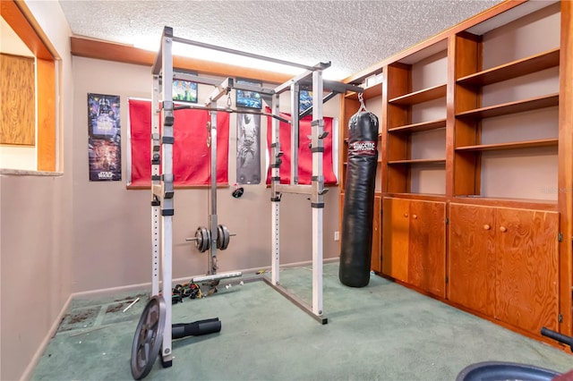 3129 W Paris St, Tampa, FL 33614 - workout room featuring a textured ceiling and carpet floors