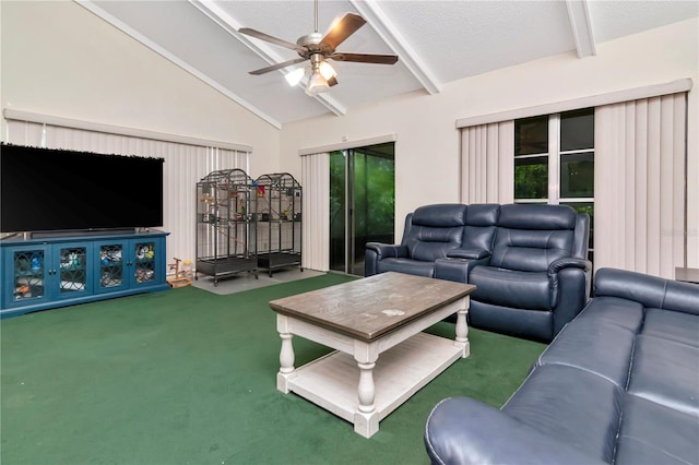 3129 W Paris St, Tampa, FL 33614 - carpeted living area with ceiling fan and a textured ceiling