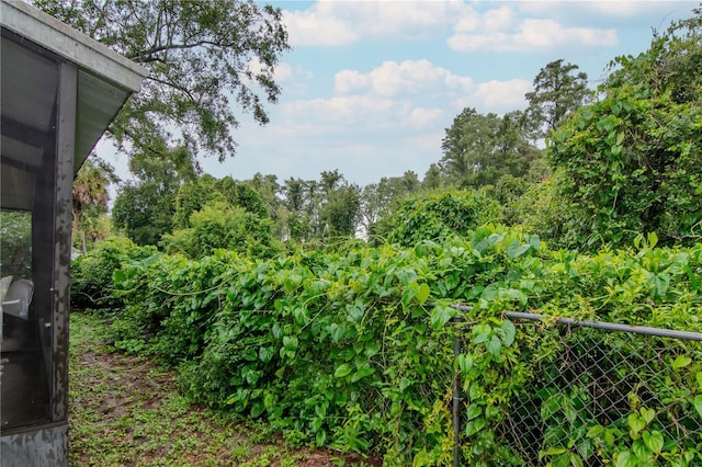 3129 W Paris St, Tampa, FL 33614 - view of yard