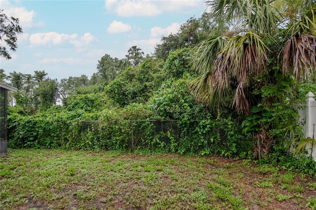3129 W Paris St, Tampa, FL 33614 - view of yard