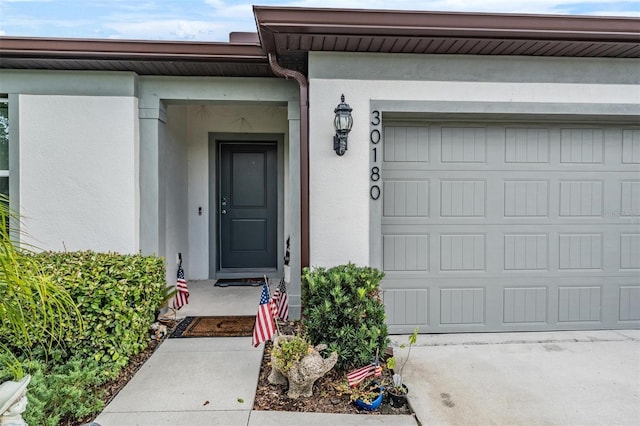 30180 Skylark Dr, Wesley Chapel, FL 33545 - photo 3