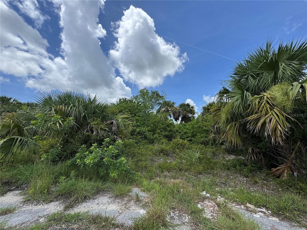 Nace Ct, North Port, FL 34288