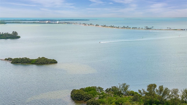323 Mira Vista Dr, Dunedin, FL 34698 - photo 45
