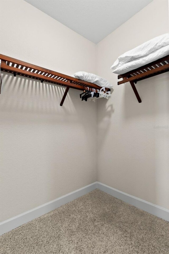 300 Capri Blvd Unit 3, Treasure Island, FL 33706 - spacious closet featuring carpet