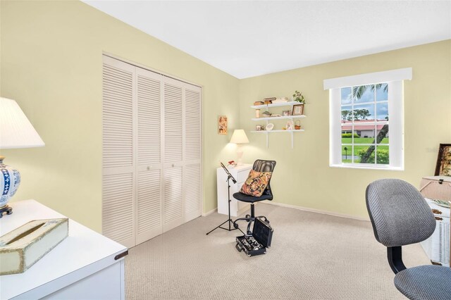 1164 Rustlewood Ct, Palm Harbor, FL 34684 - photo 24