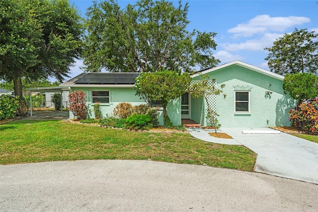 6131 17th St, Zephyrhills, FL 33542 - ranch-style home with a front yard, stucco siding, solar panels, and concrete driveway