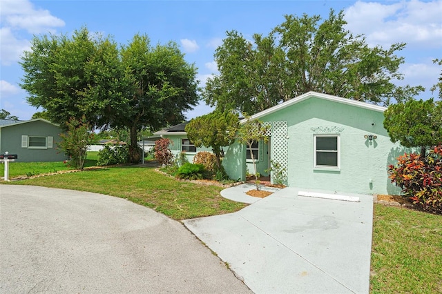 6131 17th St, Zephyrhills, FL 33542 - ranch-style home featuring a front lawn and stucco siding