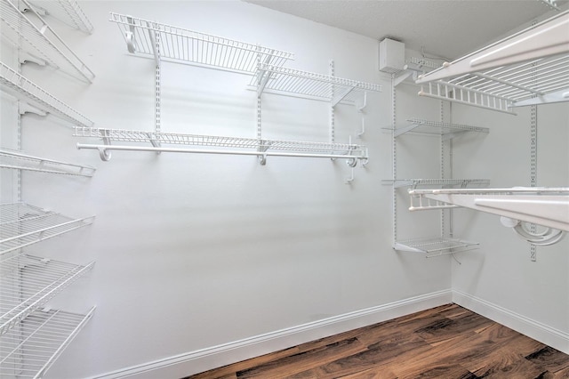 10505 Goldwater Ln, Riverview, FL 33578 - walk in closet with dark wood-style flooring