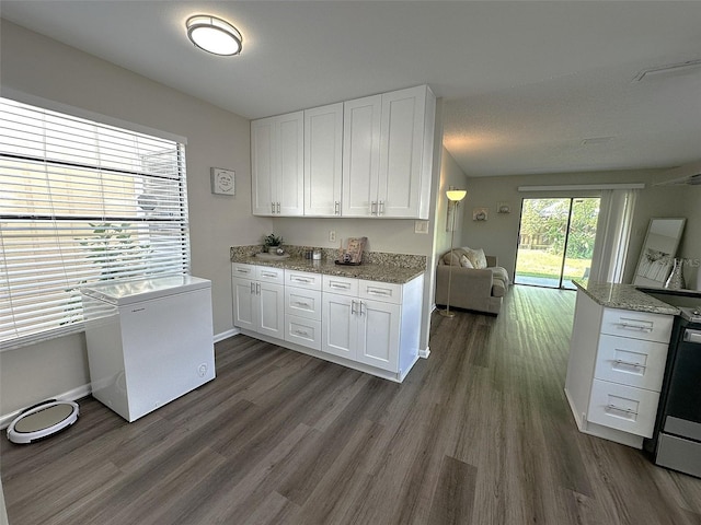 419 Bloomingfield Dr, Brandon, FL 33511 - photo 11