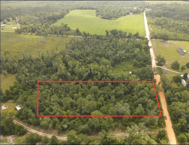 Scott Church Rd, Marianna, FL 32448 - photo 1