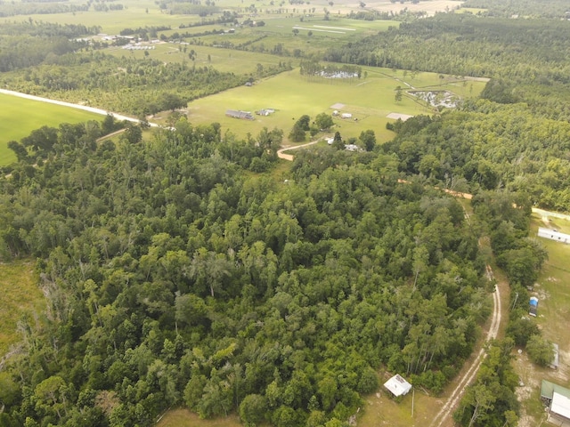 Scott Church Rd, Marianna, FL 32448 - photo 2