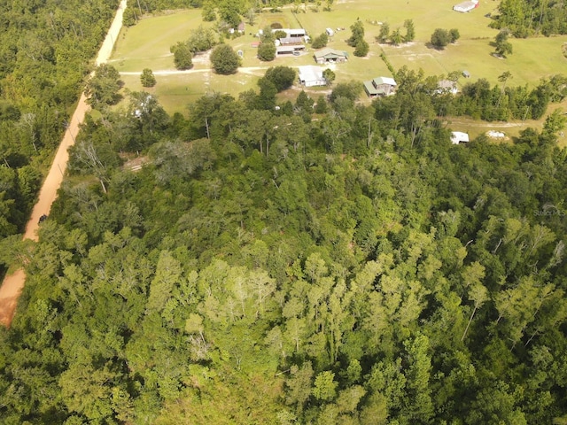 Scott Church Rd, Marianna, FL 32448 - photo 3