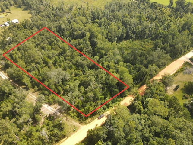 Scott Church Rd, Marianna, FL 32448 - photo 4