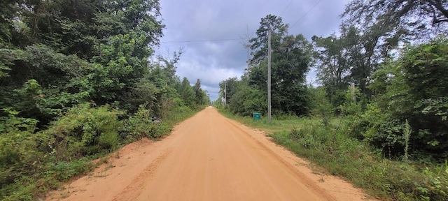 Scott Church Rd, Marianna, FL 32448 - photo 5