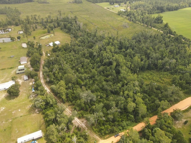 Scott Church Rd, Marianna, FL 32448 - photo 6