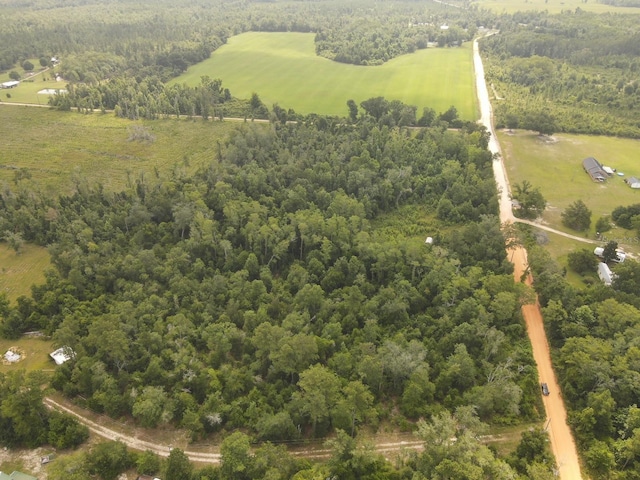 Scott Church Rd, Marianna, FL 32448 - photo 7