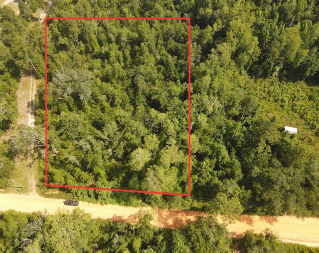 Scott Church Rd, Marianna, FL 32448 - photo 8