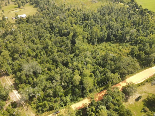Scott Church Rd, Marianna, FL 32448 - photo 9