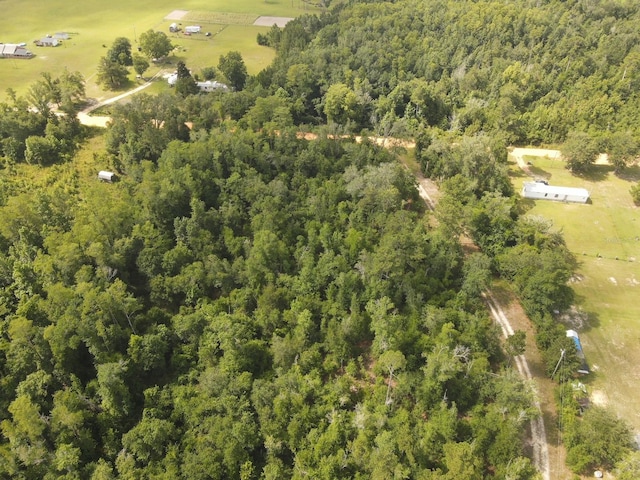 Scott Church Rd, Marianna, FL 32448 - photo 10
