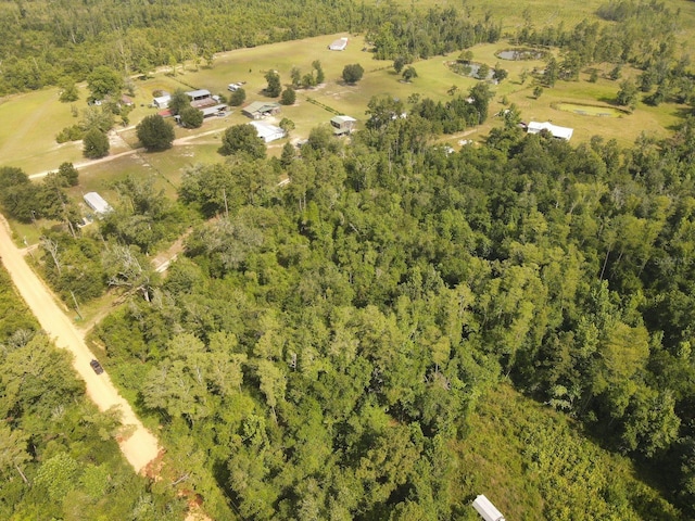 Scott Church Rd, Marianna, FL 32448 - photo 11