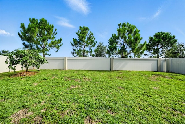 9864 Smarty Jones Dr, Ruskin, FL 33573 - photo 10