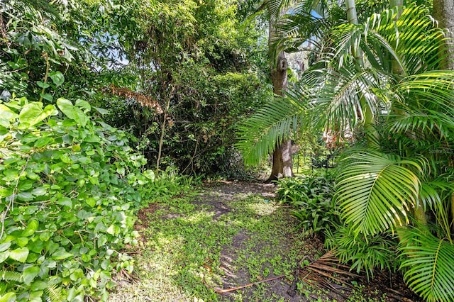 2012 Arbor Dr, Clearwater, FL 33760 - photo 28