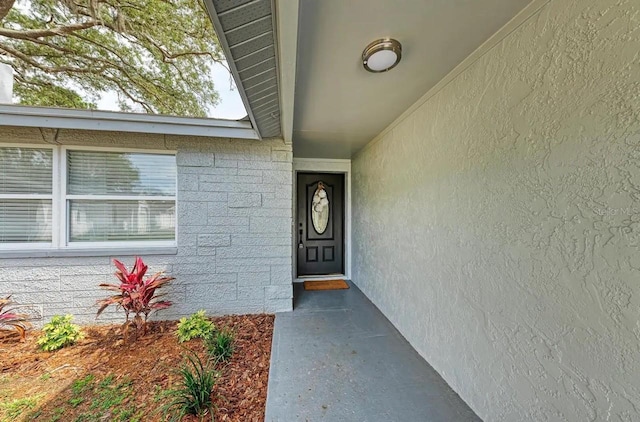 12037 104th Ave, Seminole, FL 33778 - photo 3