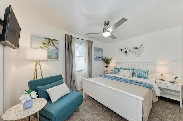 12037 104th Ave, Seminole, FL 33778 - photo 20