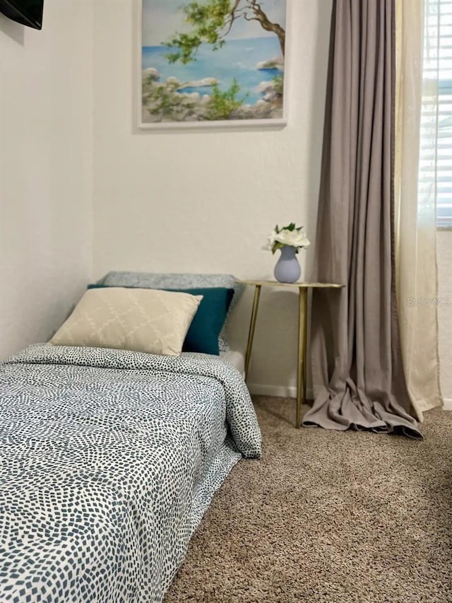 12037 104th Ave, Seminole, FL 33778 - photo 22