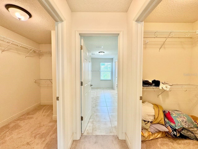 19502 Sea Myrtle Way, Tampa, FL 33647 - walk in closet with light carpet
