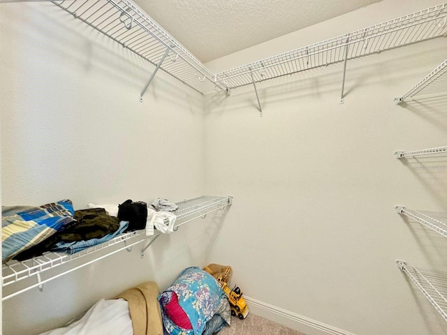 19502 Sea Myrtle Way, Tampa, FL 33647 - spacious closet with carpet